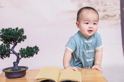 许昌可爱的企鹅宝宝